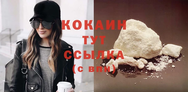 гашик Корсаков