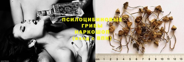 ПСИЛОЦИБИНОВЫЕ ГРИБЫ Красноперекопск