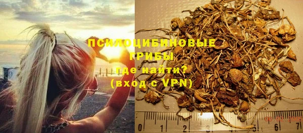 гашик Корсаков