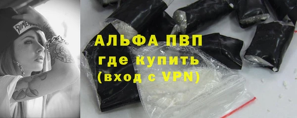 индика Коряжма