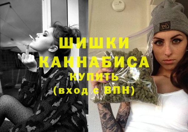 индика Коряжма