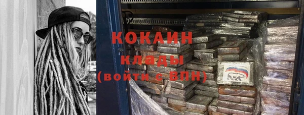 гашик Корсаков