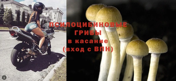 индика Коряжма