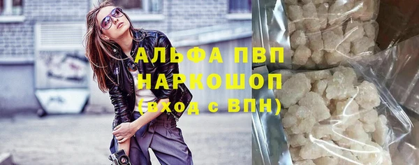 индика Коряжма