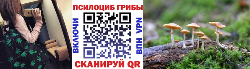 ОМГ ОМГ ONION Малгобек Псилоцибиновые грибы Psilocybine cubensis